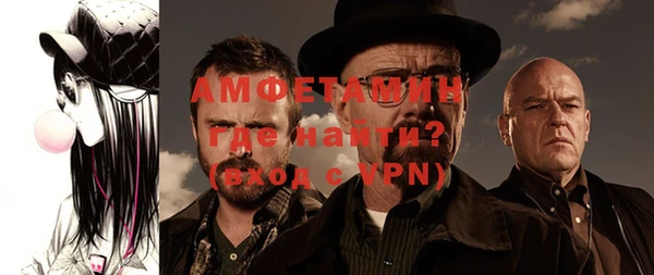 индика Нягань