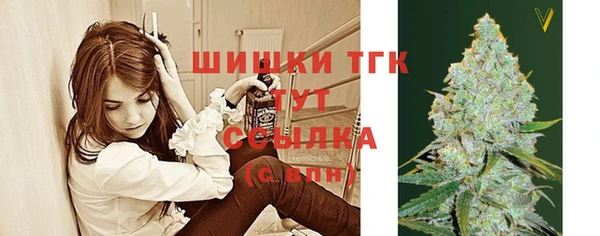 spice Баксан